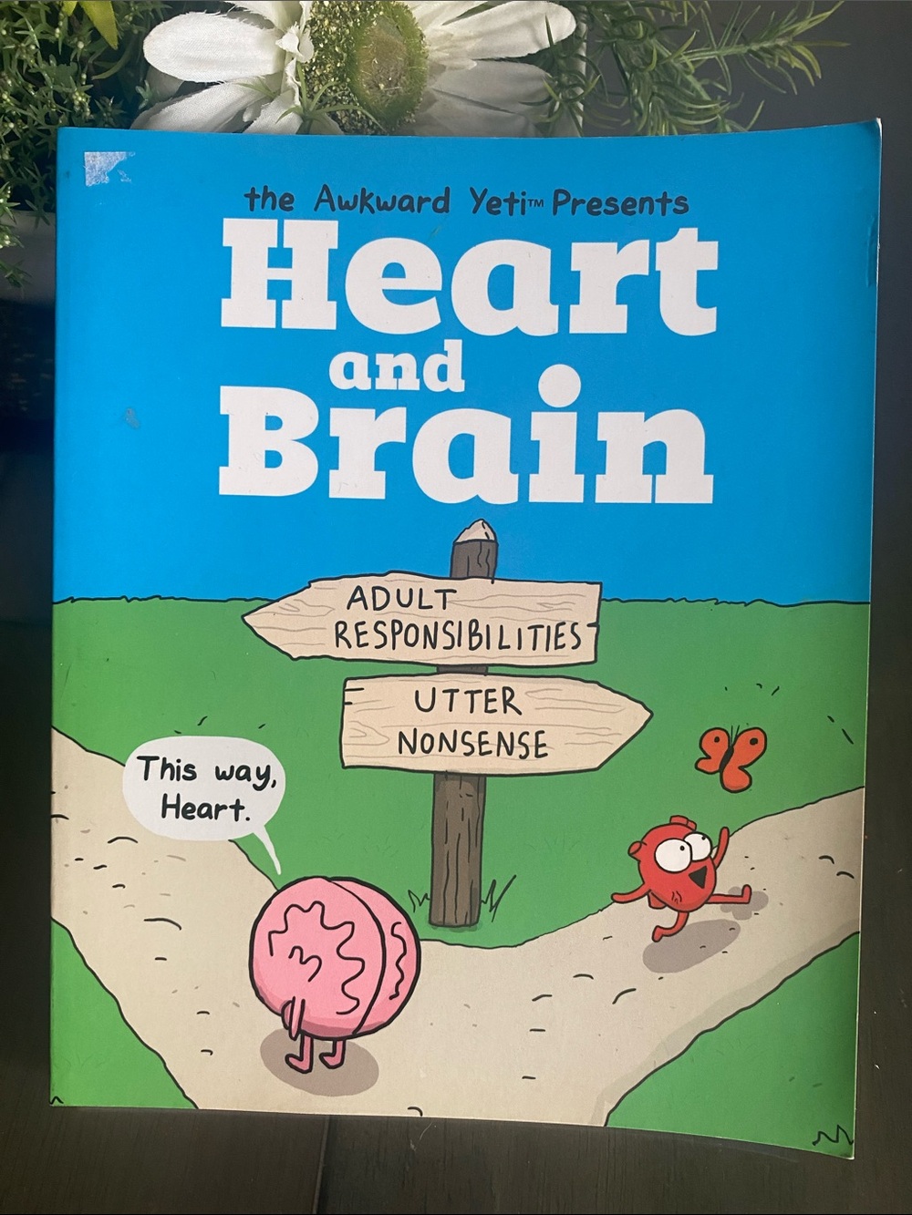 The Awkward Yeti Heart and Brain Book Graphics Novel humour